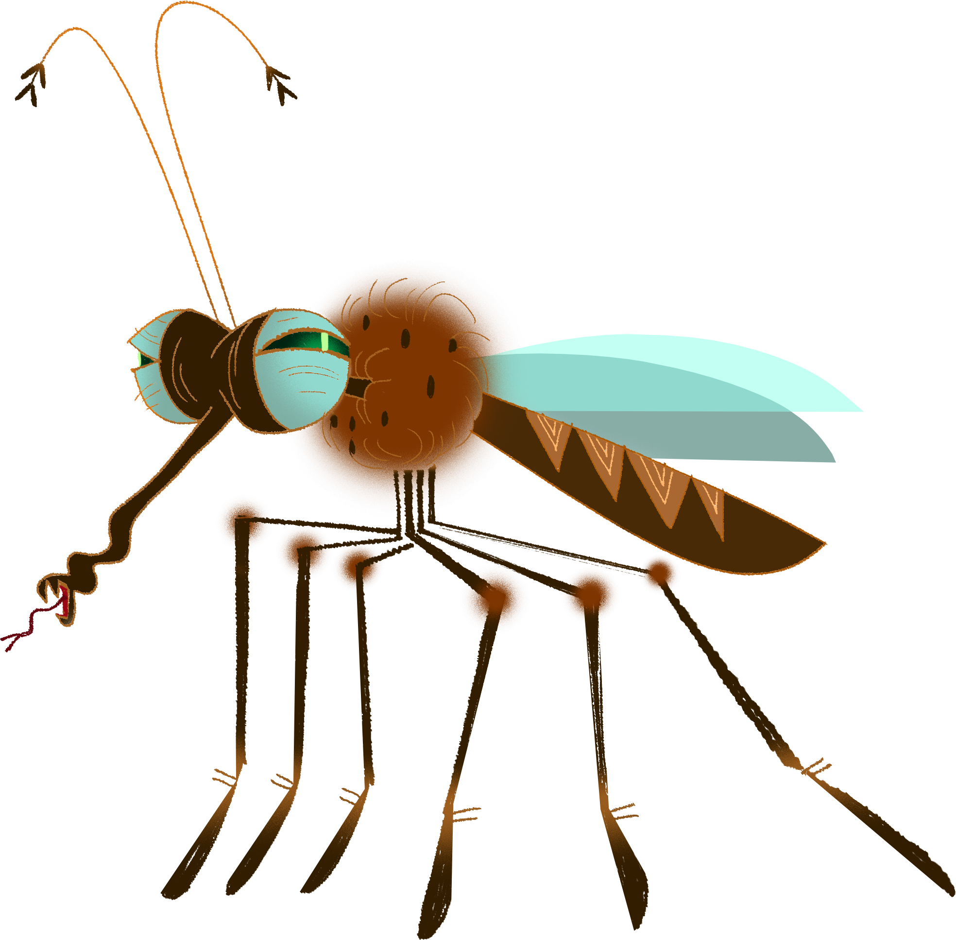 mosquito_01.png