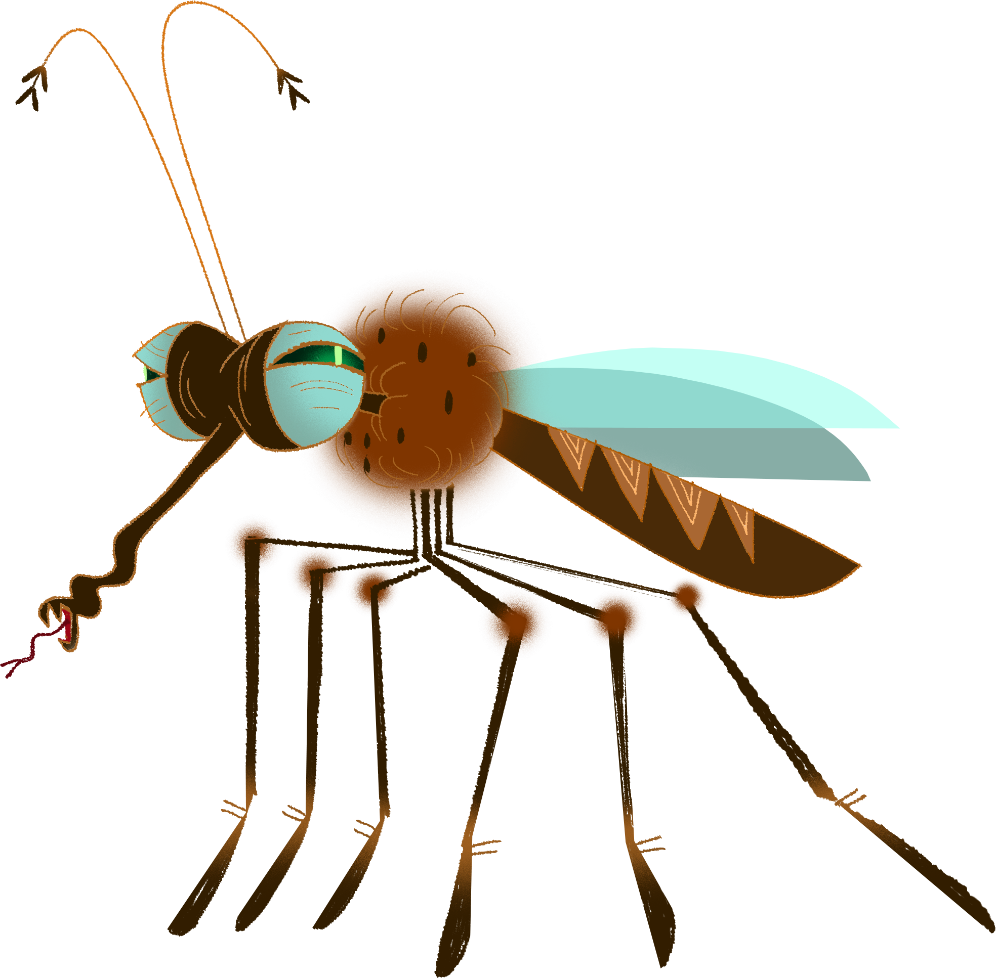 mosquito_01.png