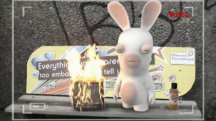 Rabbids_01.gif