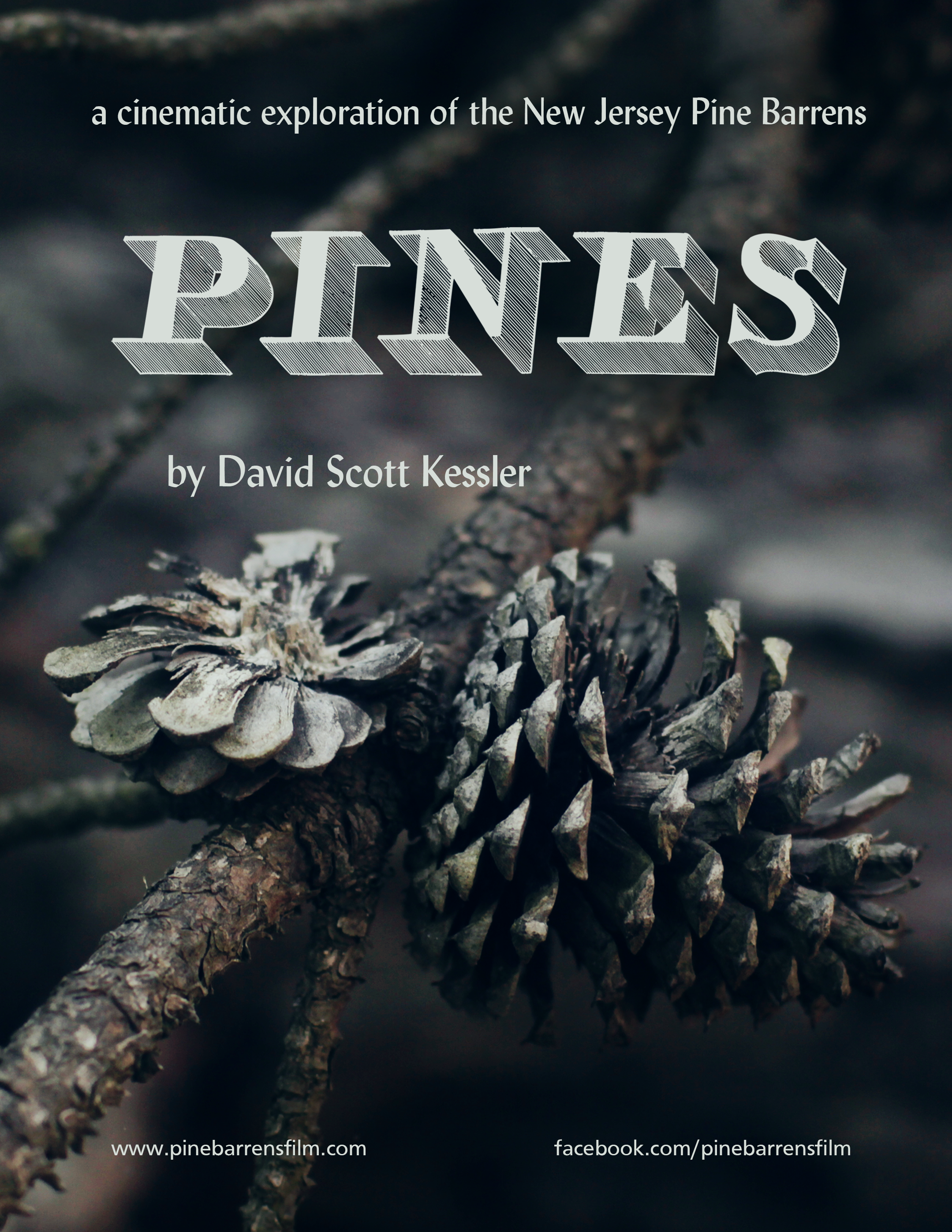 Pines_postcard1.png