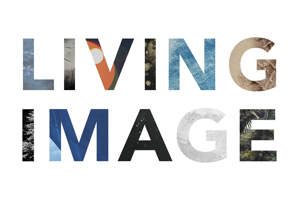 living-image-2016.jpg