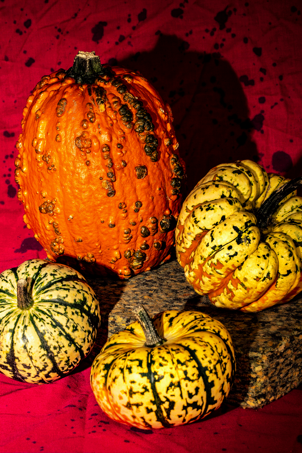 Gourd-Group-Animation_Web.gif