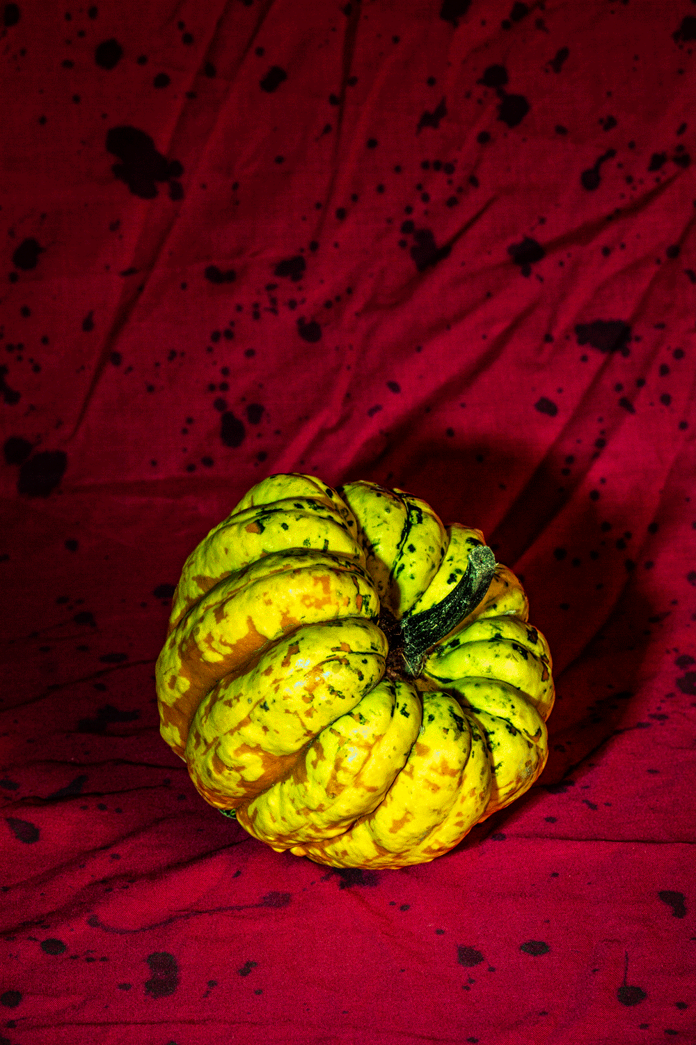 Gourd-Animation_Web.gif