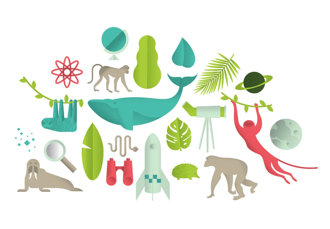 illustrations.jpg