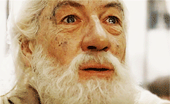 My face every time he does the tiniest new thing (today it was to take a toy egg out of a box and carefully and deliberately put it back in)