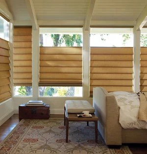 1A.4.AlustraVignetteModern Roman Shades.png