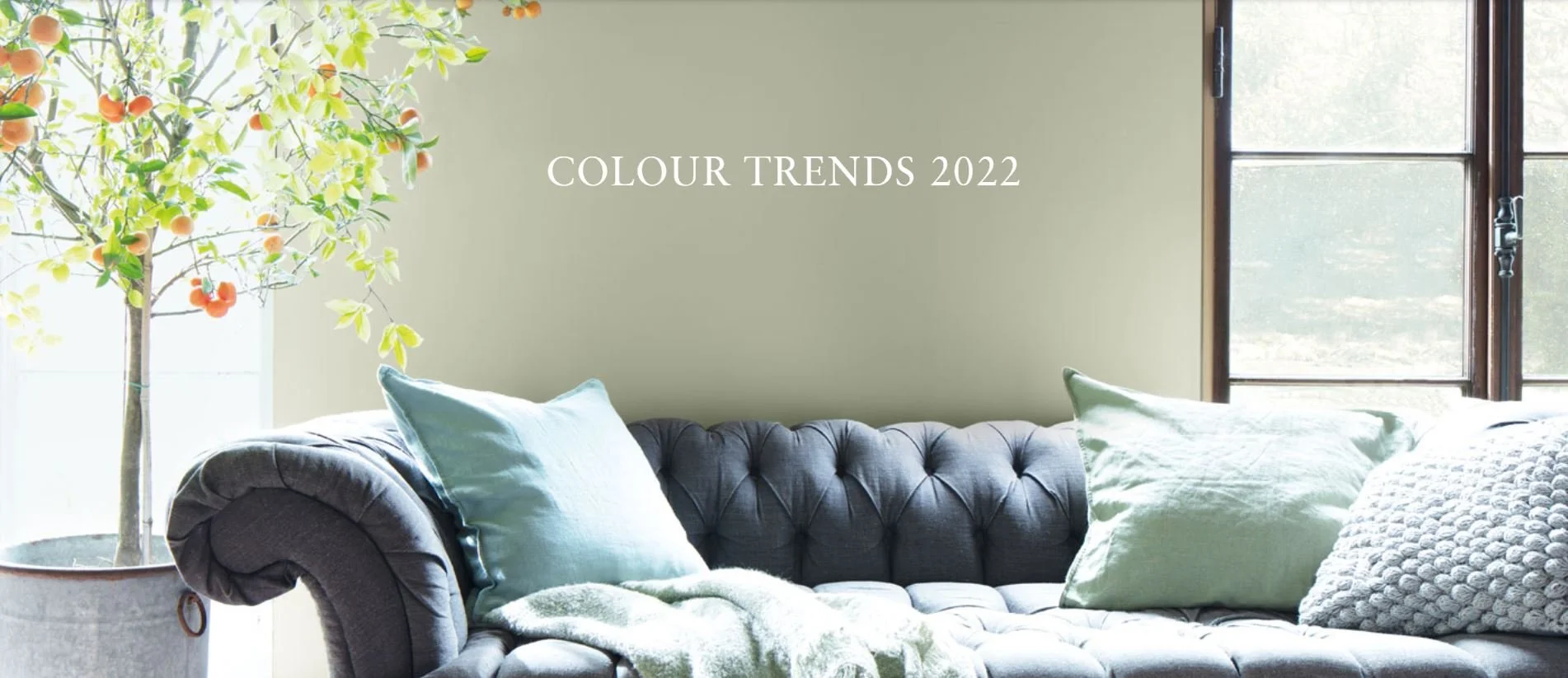 Days Paints & Design Benjamin Moore Paint Store Saskatoon