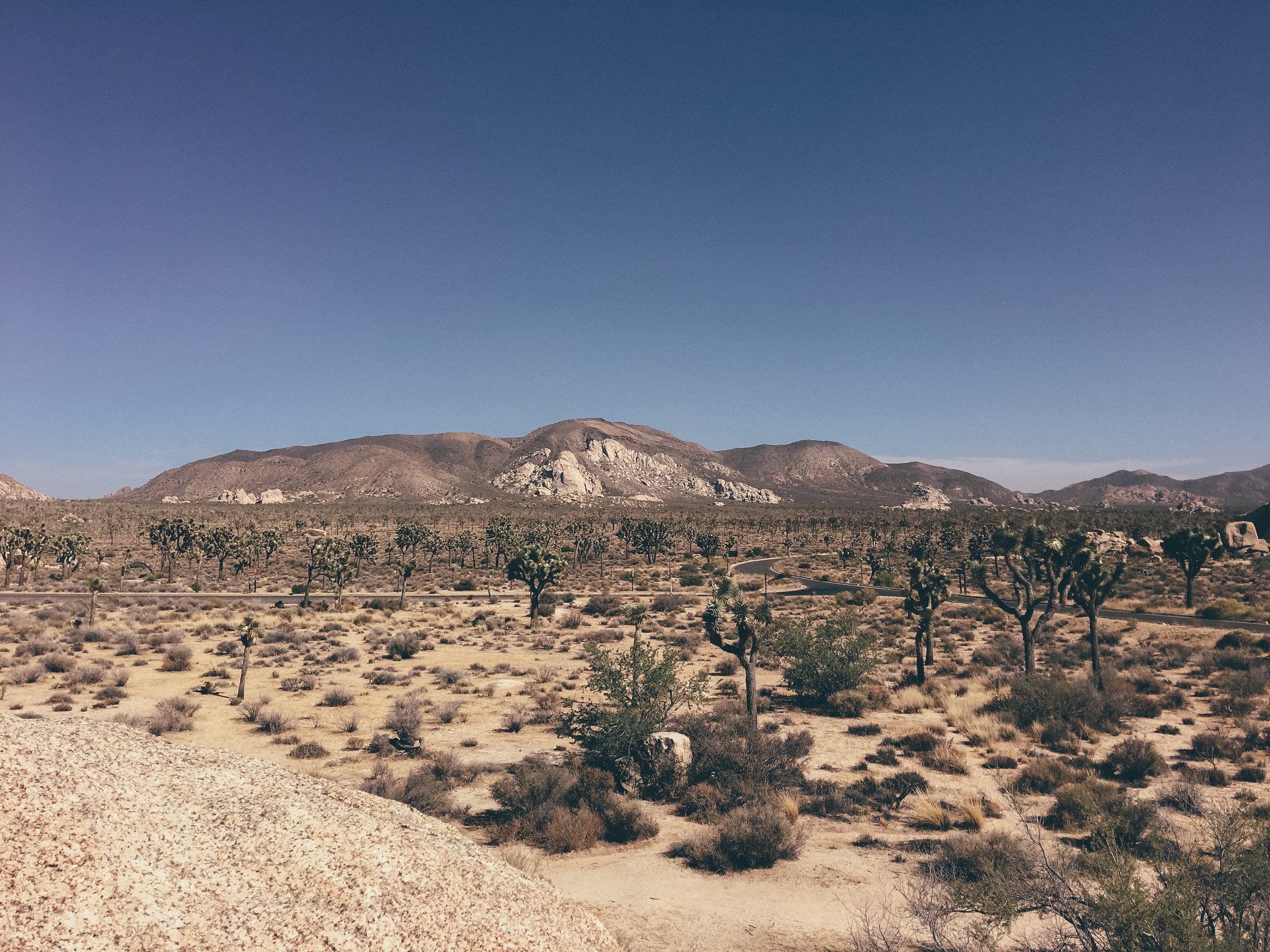 Joshua Tree National Park, CA