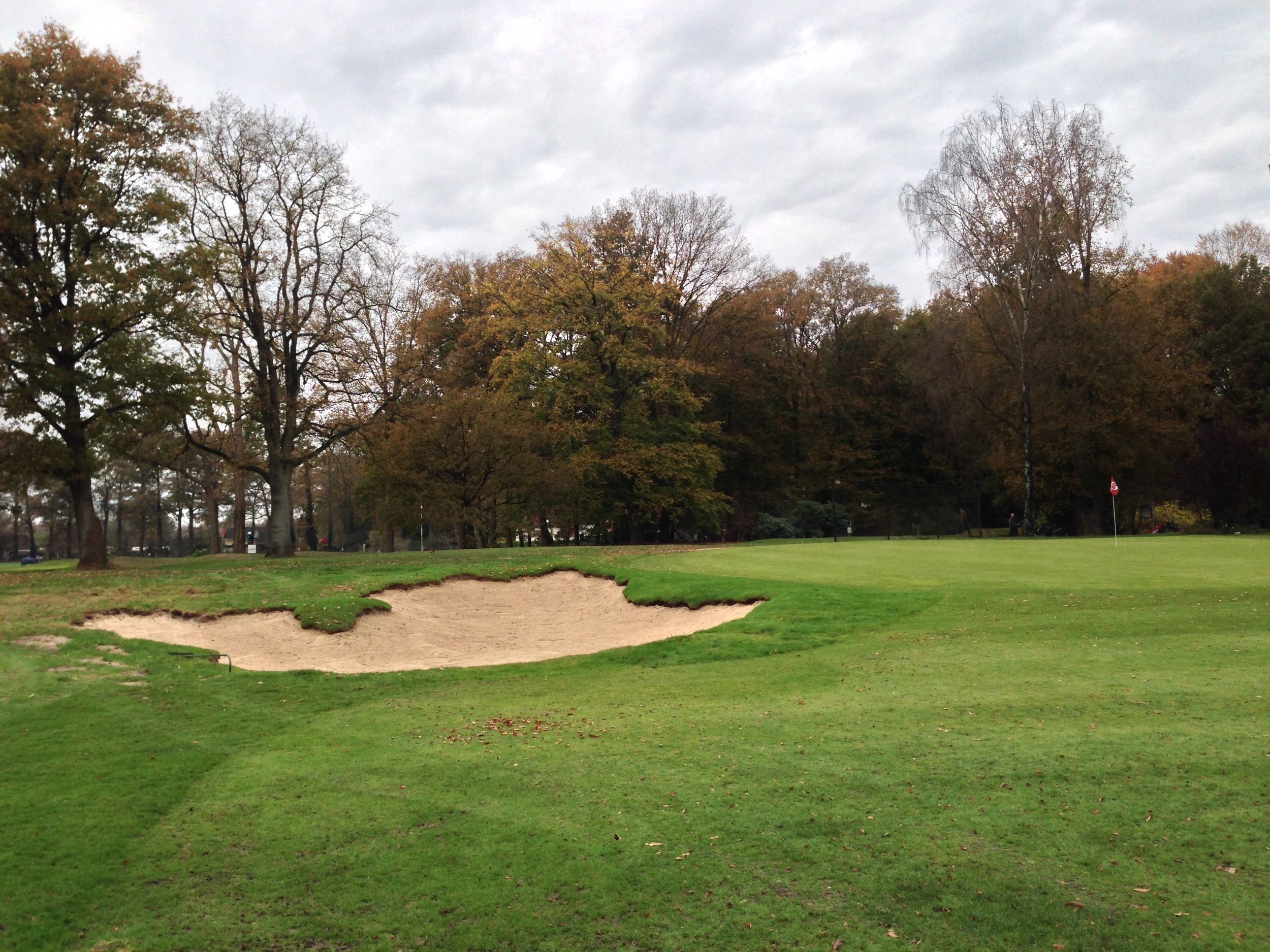 Hole 18 after close up. Native and heather should eventually creep in from the left.