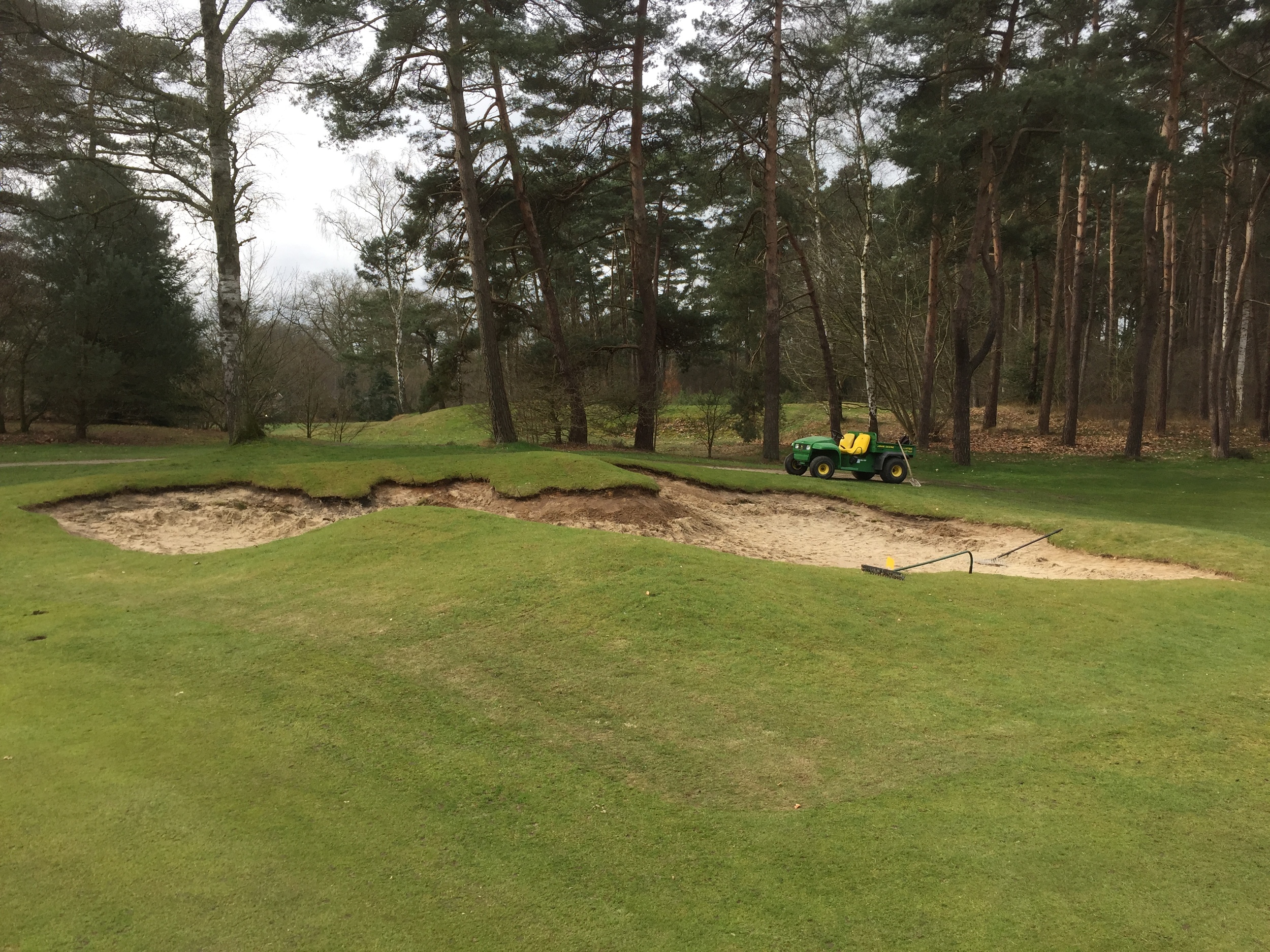 A view of the 10th bunker from the side walking up to the green showing how the bunker changes form as one walks past it. This is taken at the end of edging but before cleanup. 