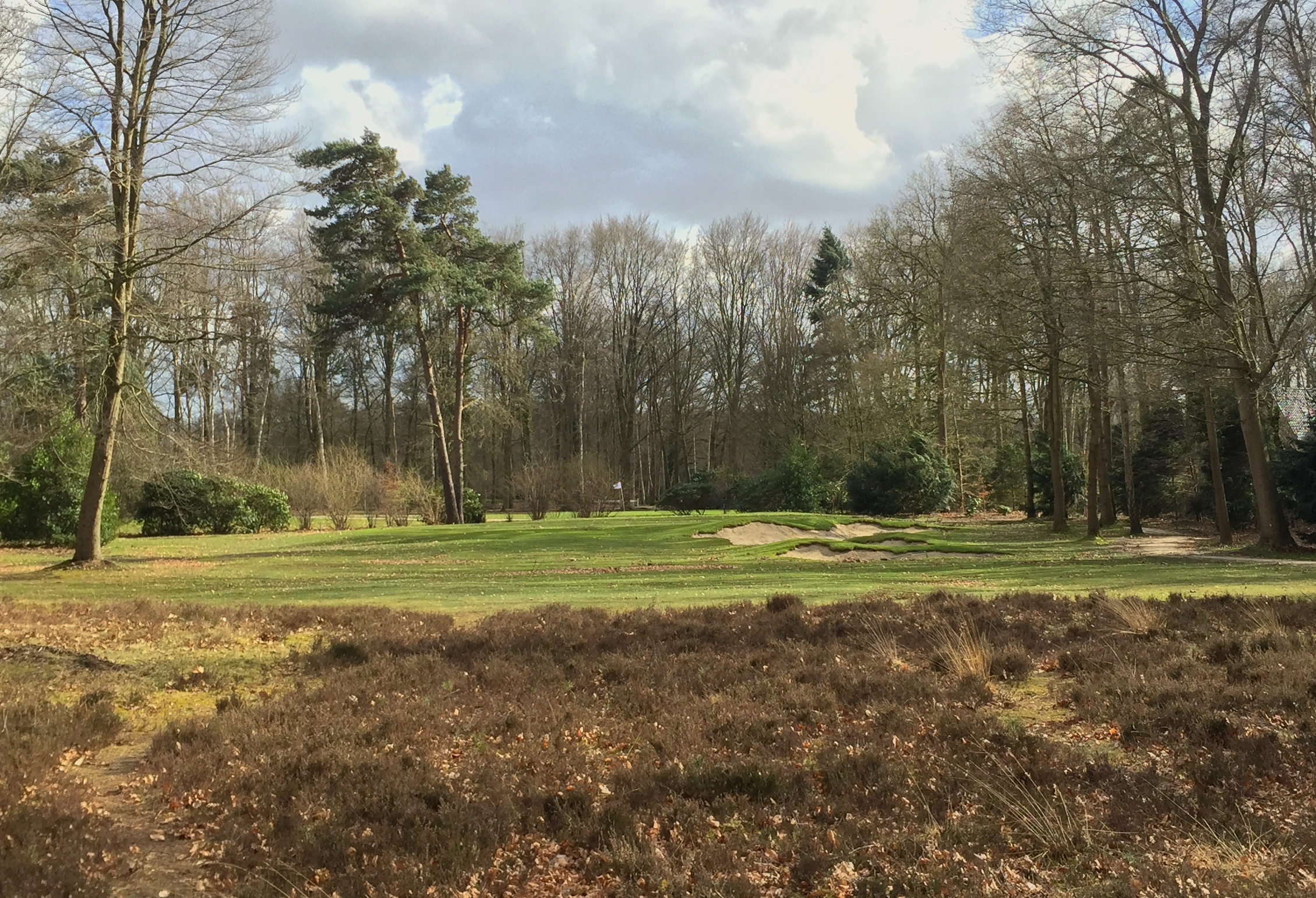 The par 3 ninth hole at Sallandsche originally called for one large bunker on the right. &nbsp;An existing irrigation line prompted an idea though to split the bunker in two, which would then also add more profile and visual interest to the bunkerin…