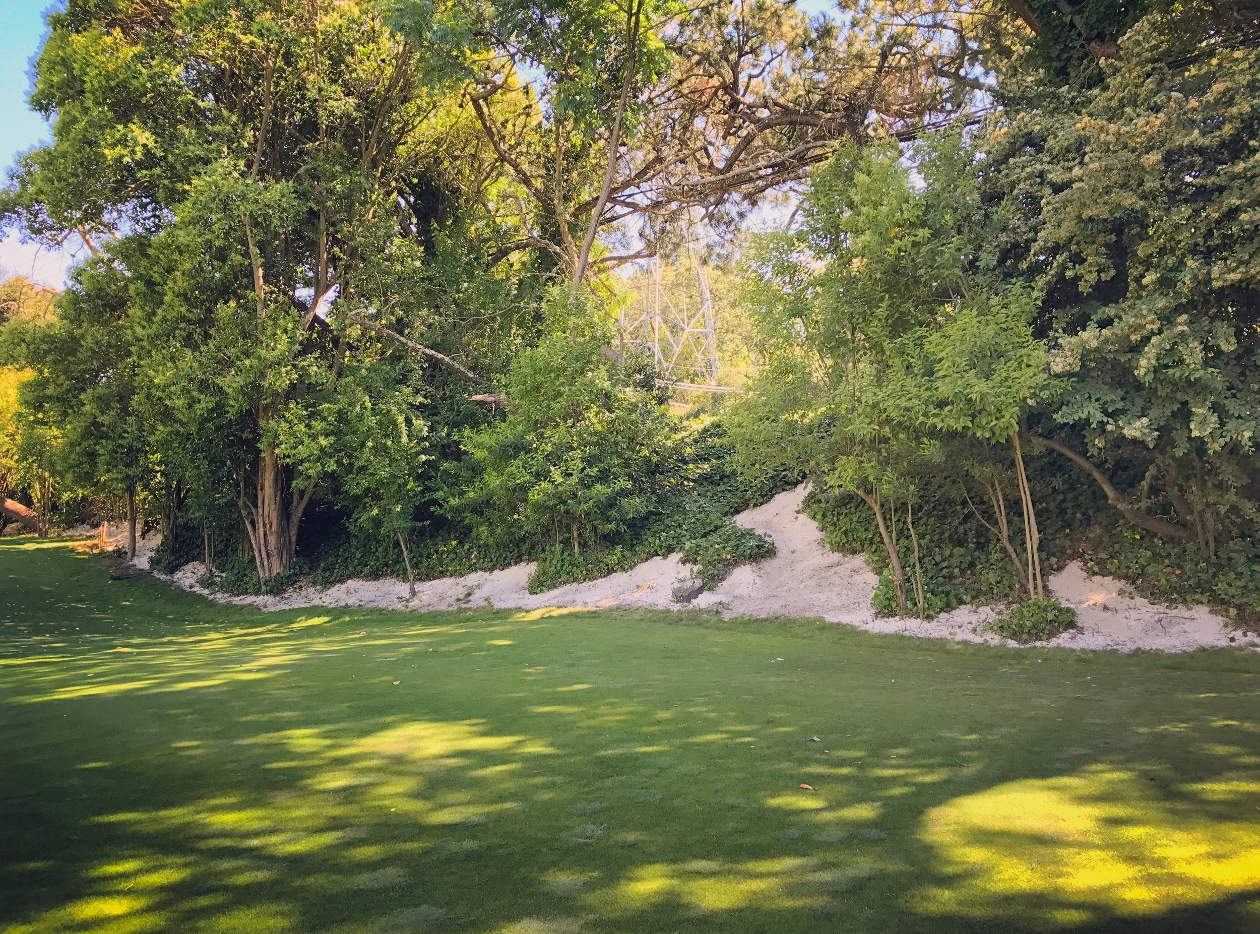We had the opportunity this summer to go back and touch up this natural area on the 15th at Orinda, which used to be an ivy-covered fence and jungle.