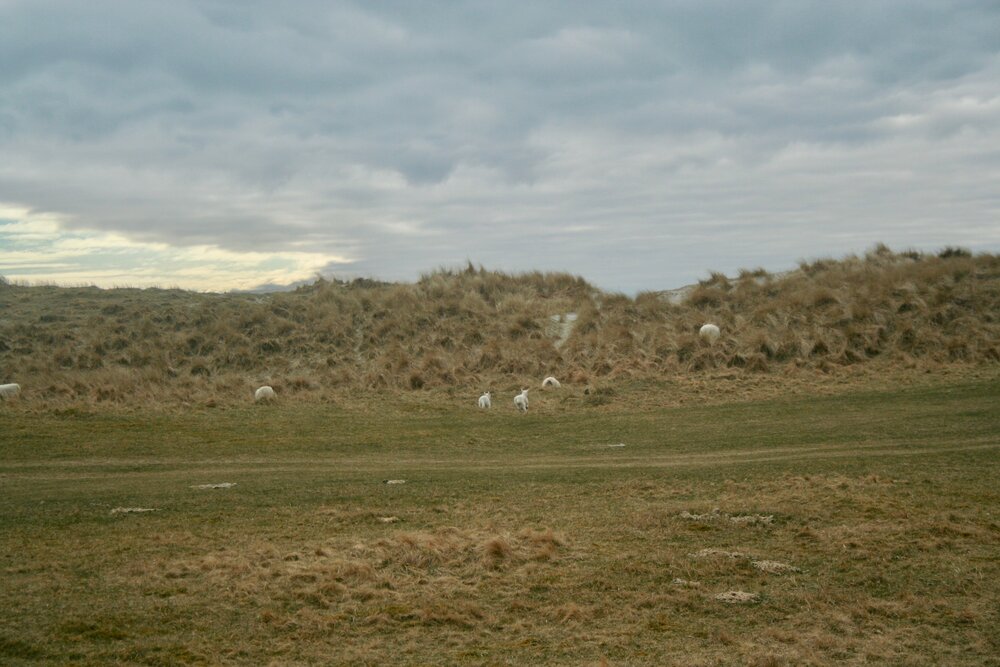 Greensite and a few loiterers 