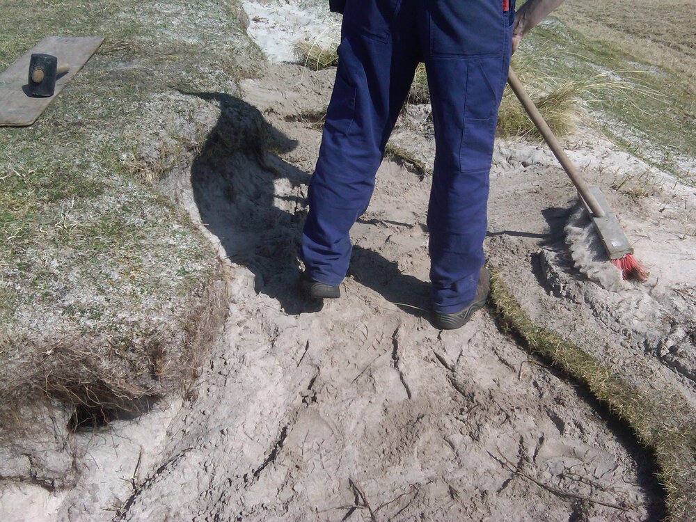 Simon brushing sand into the sod gaps