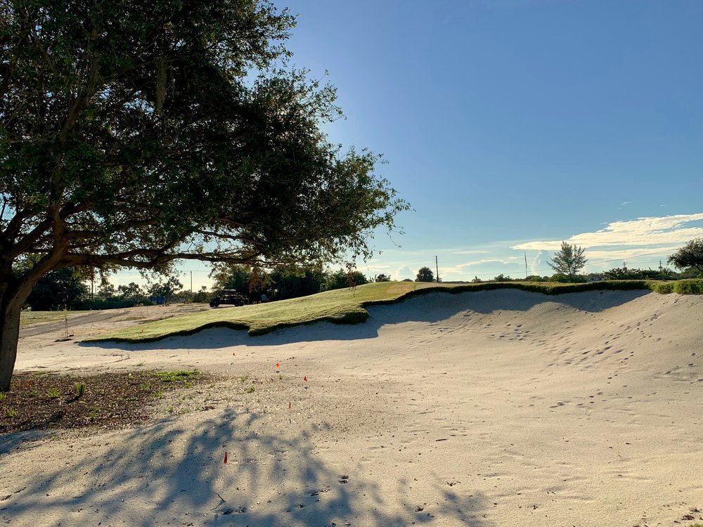 hochstein-design-best-of-2021-west-palm-golf-park-bunker-and-tree.jpg