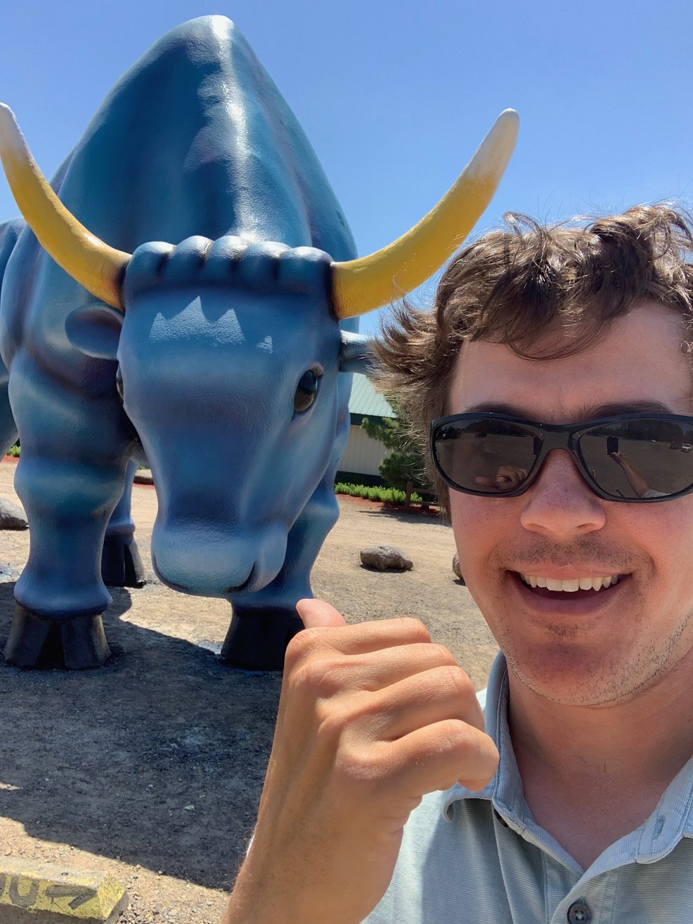 Babe the Blue Ox in Brainerd