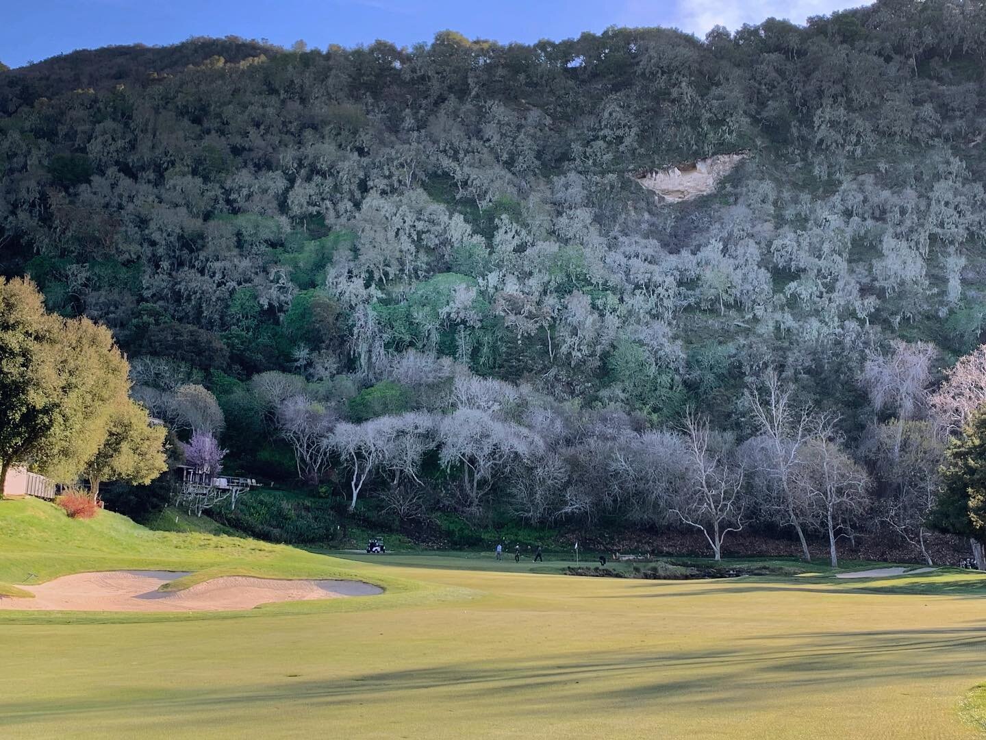 Awesome moody backdrop to this hole at @carmelvranch. Very fun day seeing old friends and meeting some new ones at the Northern California @gcsaa Institute meeting.