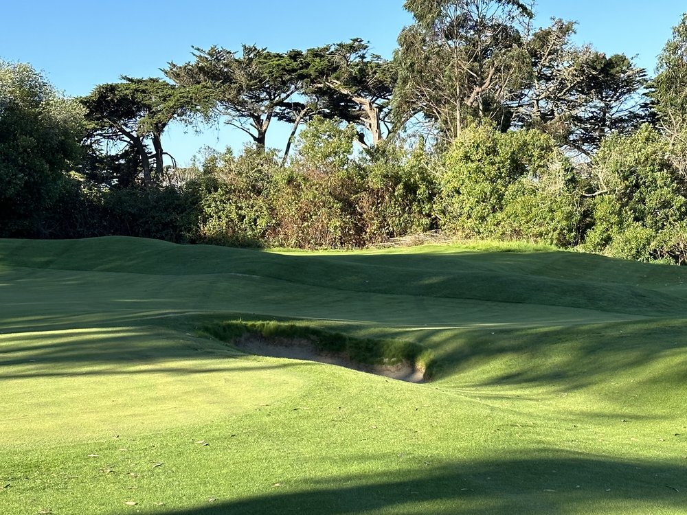 hochstein-design-golden-gate-park-hole-7-close-bunker-grass.jpeg