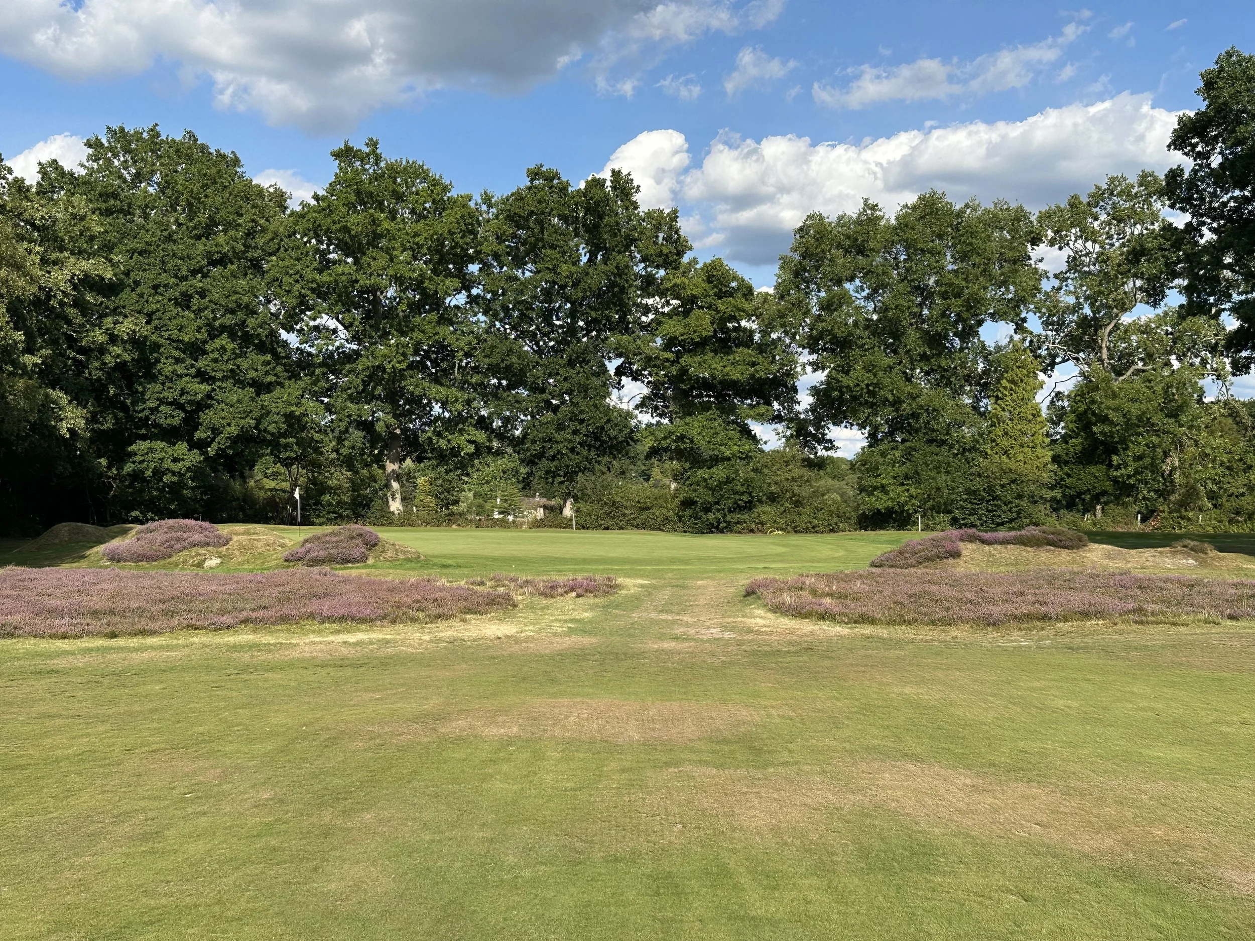 hochstein-design-royal-ashdown-forest-3-mounds.jpeg