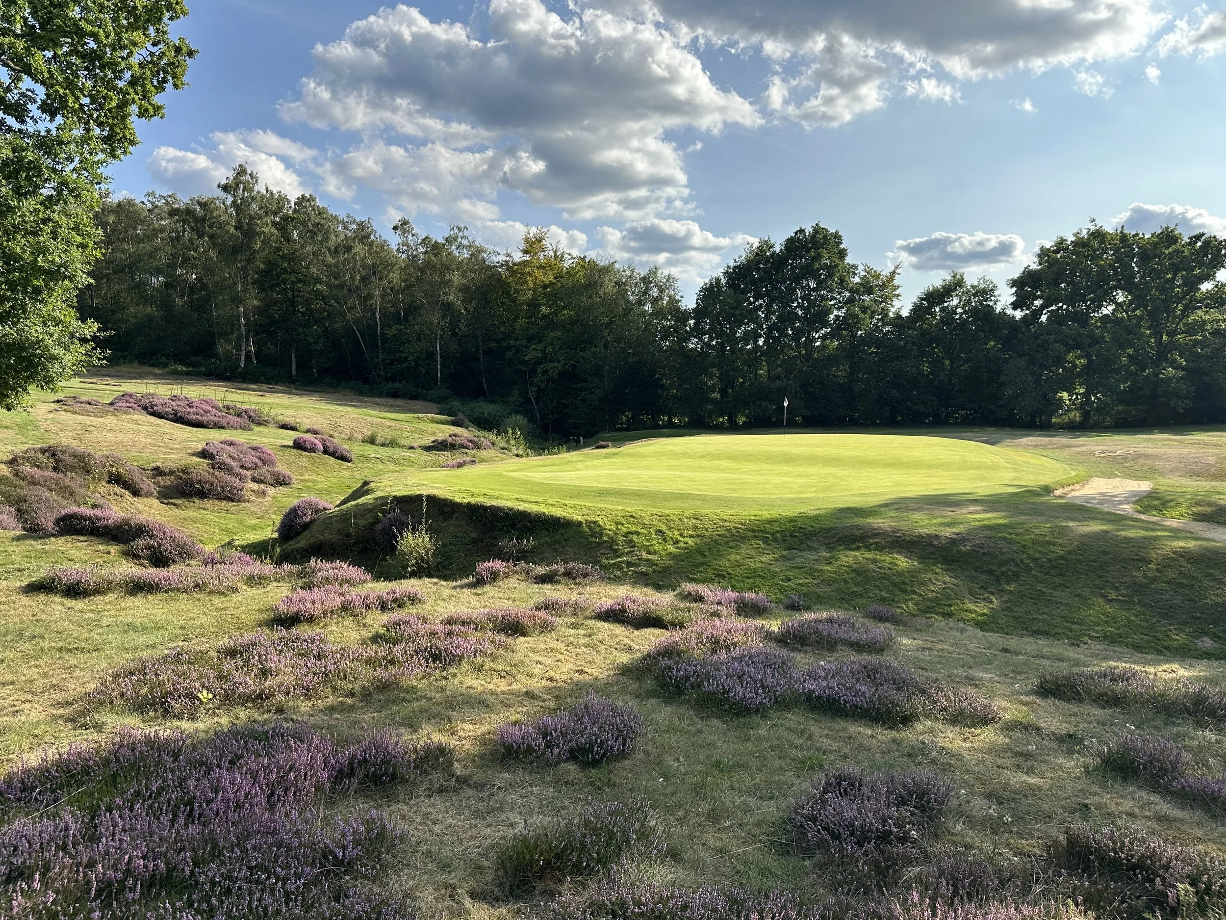 hochstein-design-royal-ashdown-forest-hole-6.jpeg