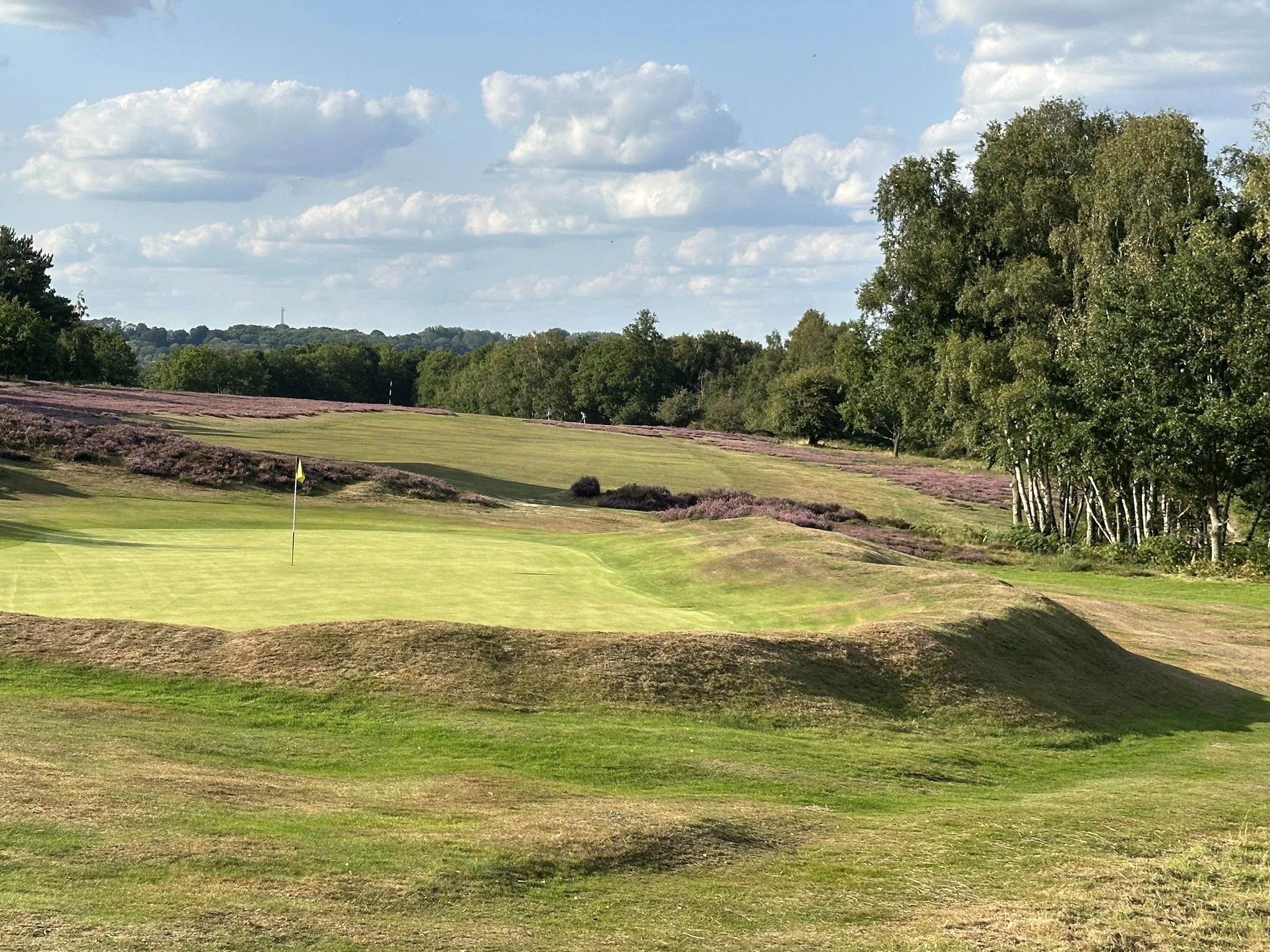 hochstein-design-royal-ashdown-forest-hole-8-green-fort.jpeg