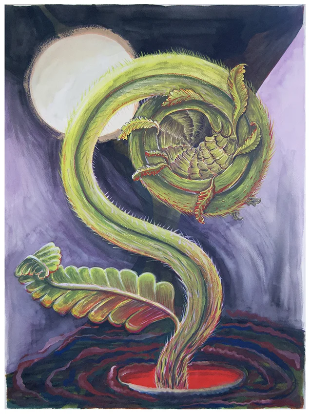 diddlehead.jpg