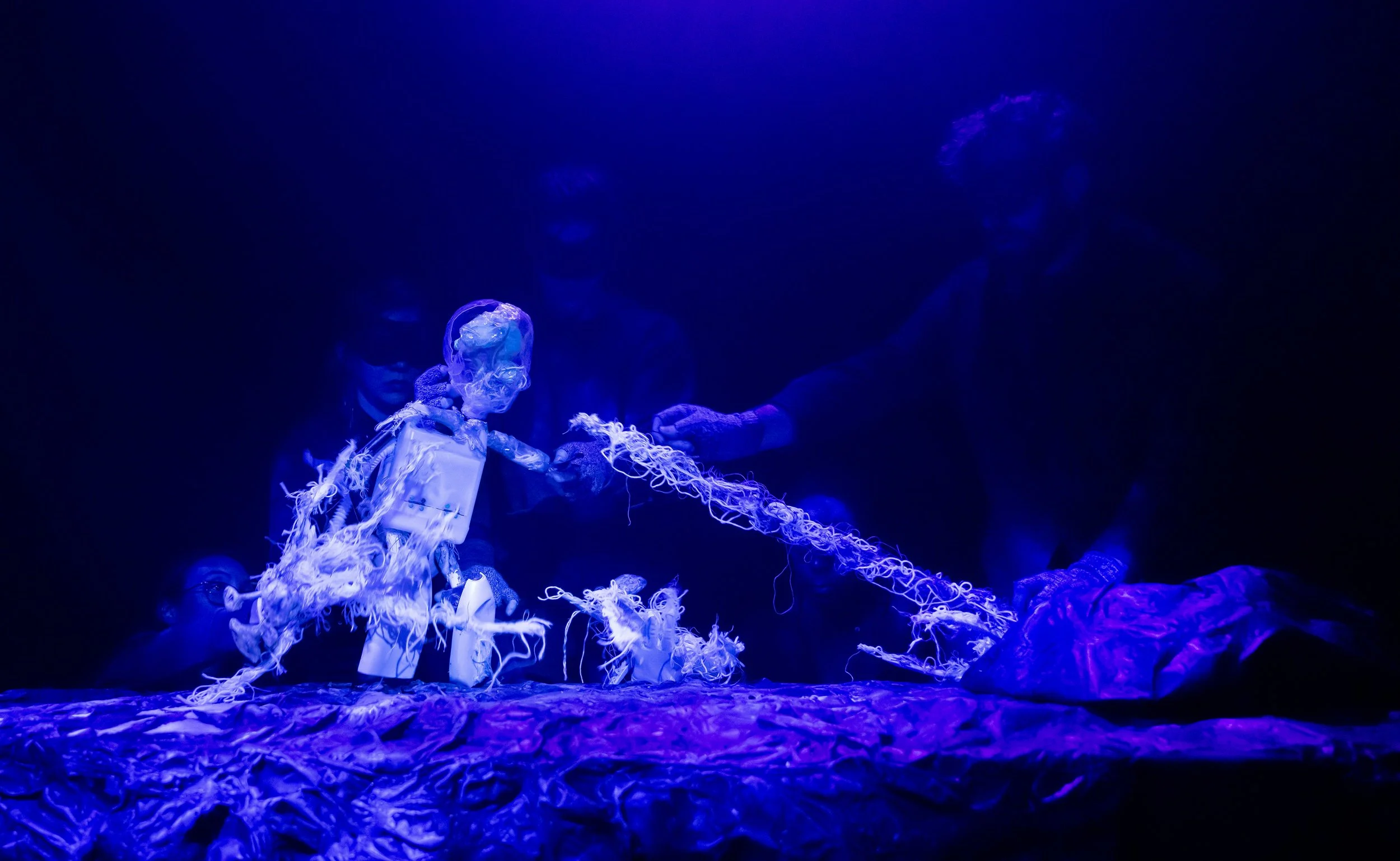 2026-02-17 PARCHED-A. Manjuck & D. James-Puppetopia-HERE Arts-HERE Arts-RT 361 copy.jpg