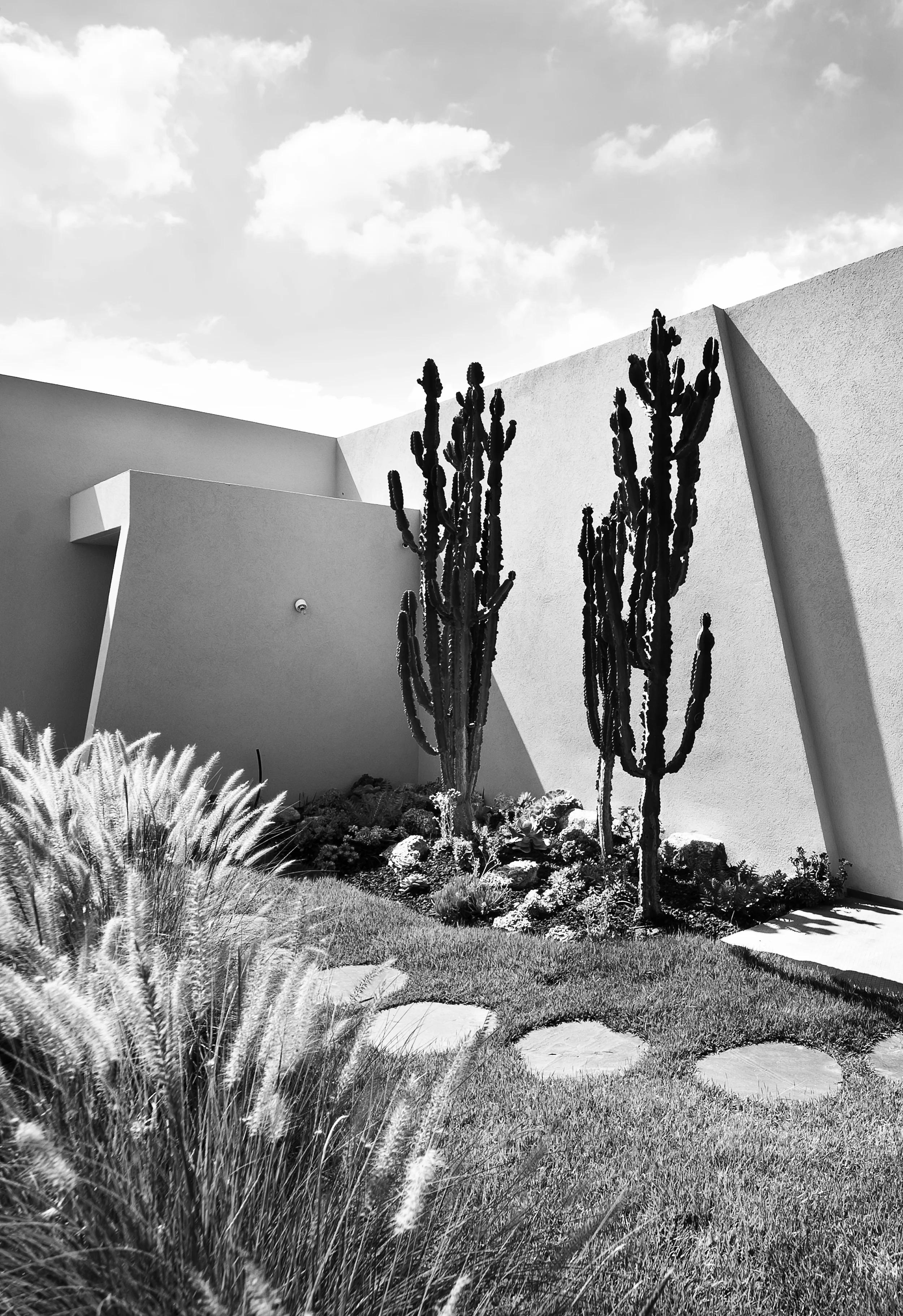TRZ_Garden_01.jpg