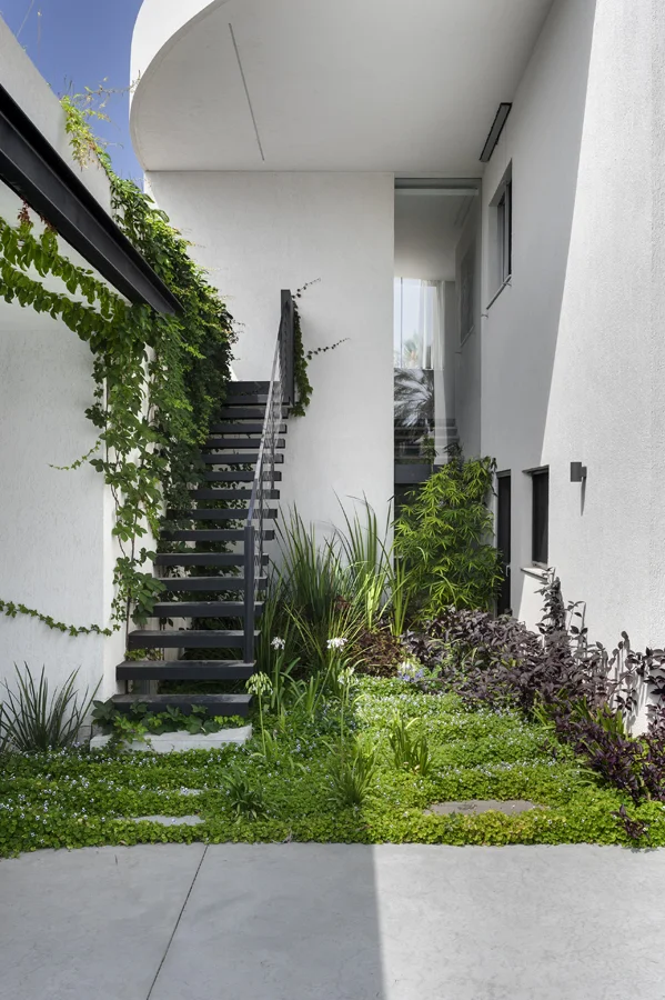 _DSC0832AAA copy.jpg