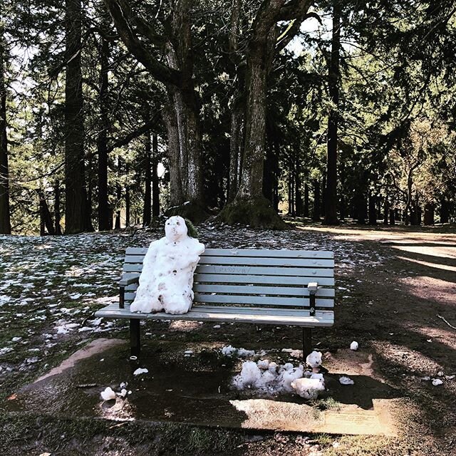 #socialdistancing #suddensnowfall #portland #spring #climatechange#apocalypse #quarantine #bekindtoeachother