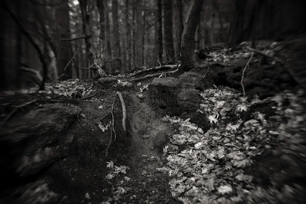 _1210965bw copy-Edit.jpg