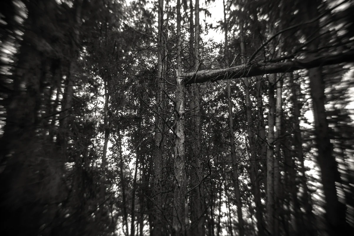 _1220055.jpg