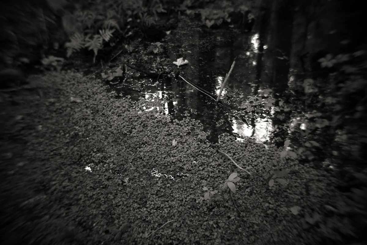 _1220217.jpg