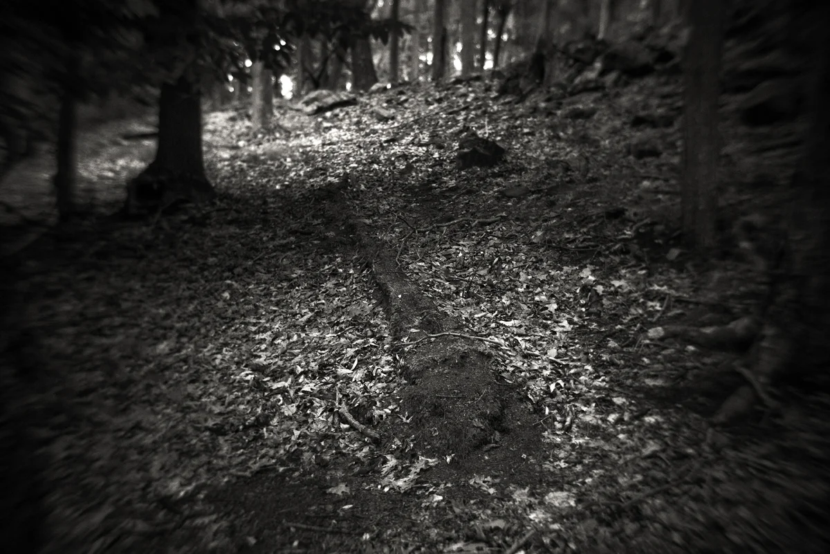 _1220252.jpg