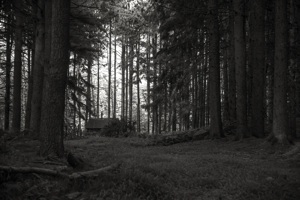 DSC07775bw copy.jpg