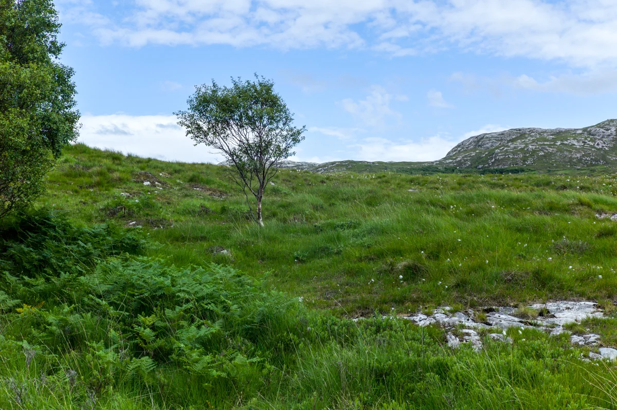 L1184198-Edit.jpg