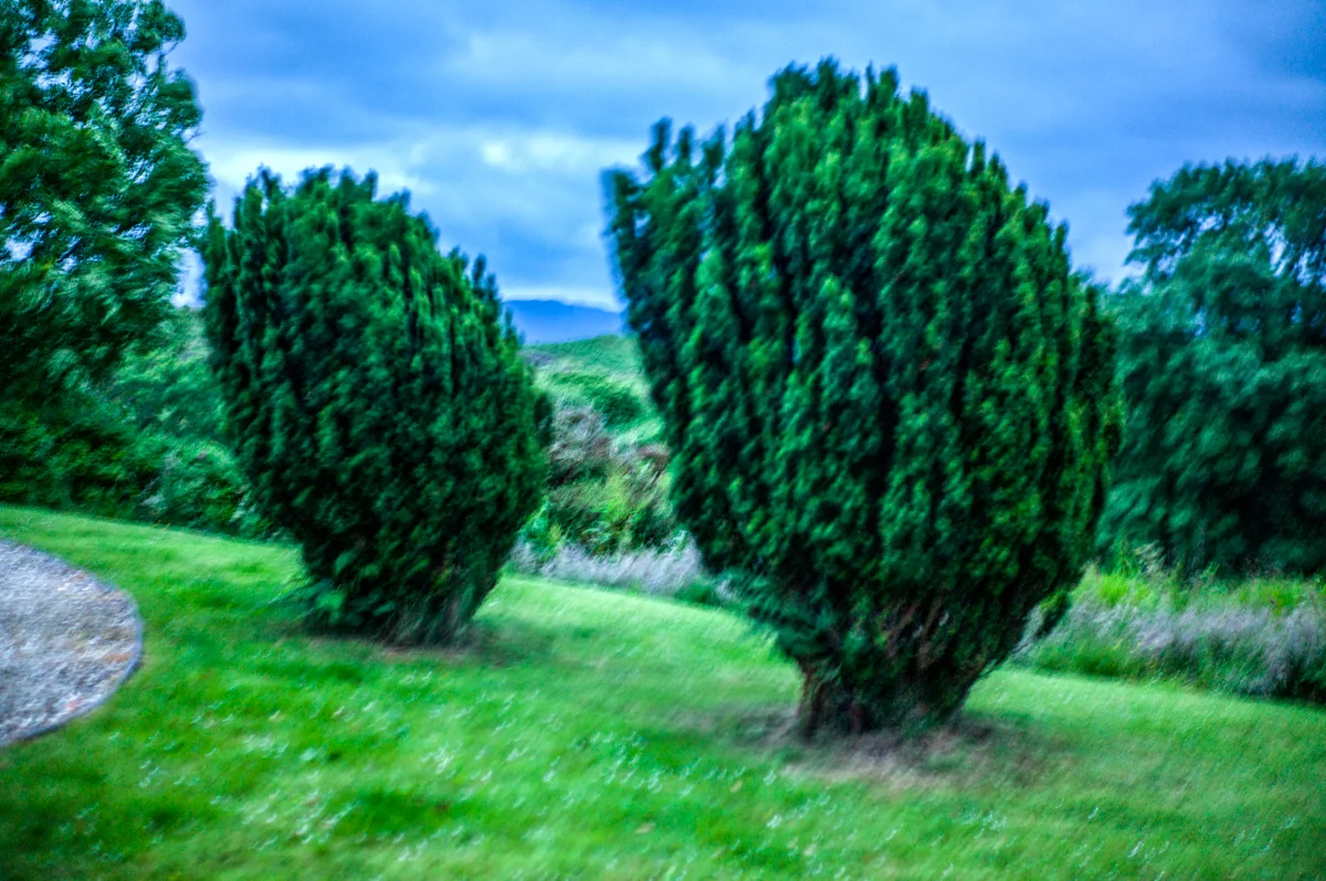L1184258-Edit.jpg