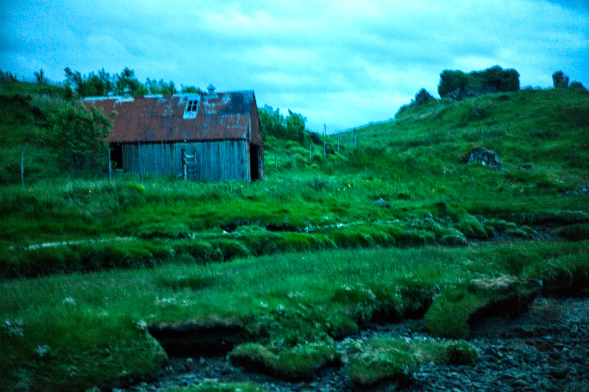 L1184273-Edit.jpg