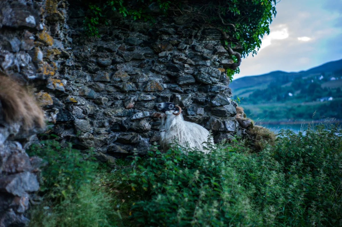 L1184461-Edit.jpg