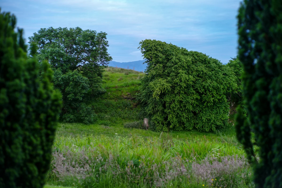 L1184556-Edit.jpg