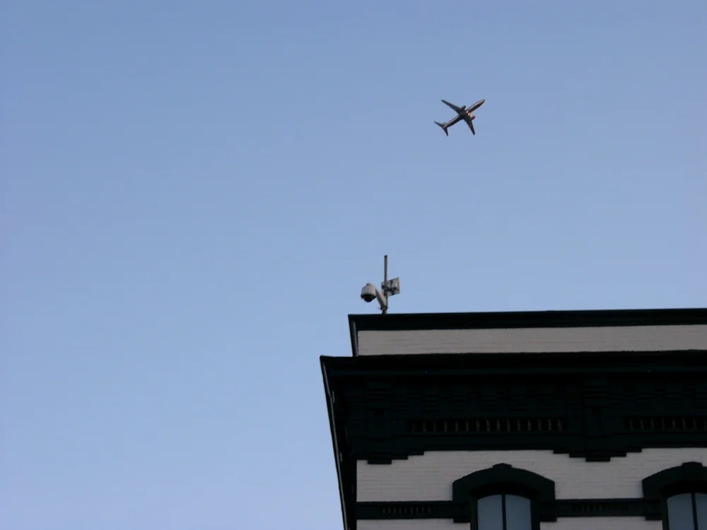 fly 2.jpg