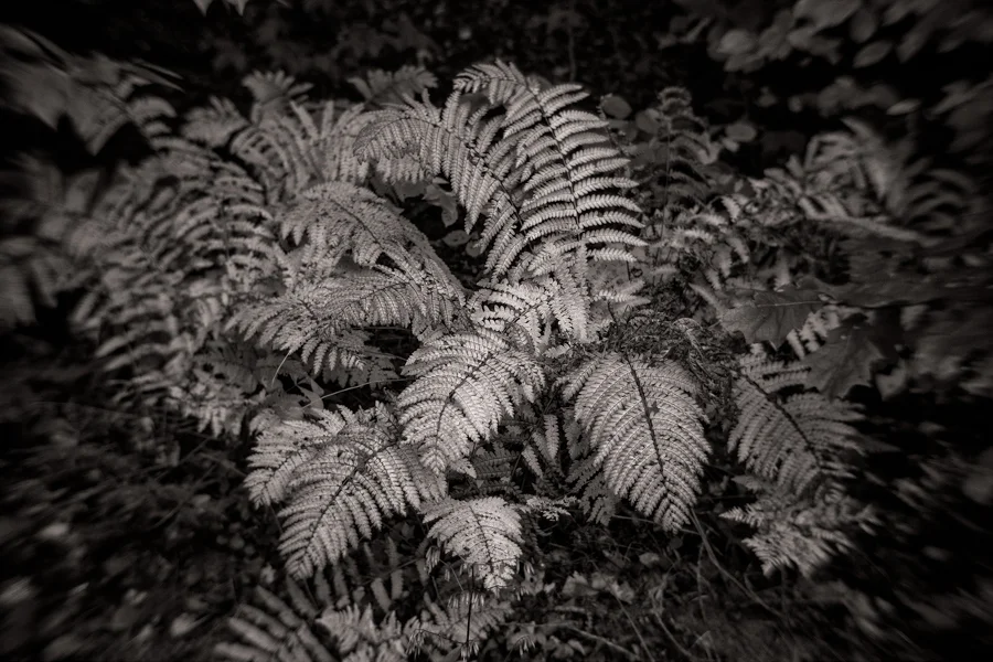 Untitled-23.jpg