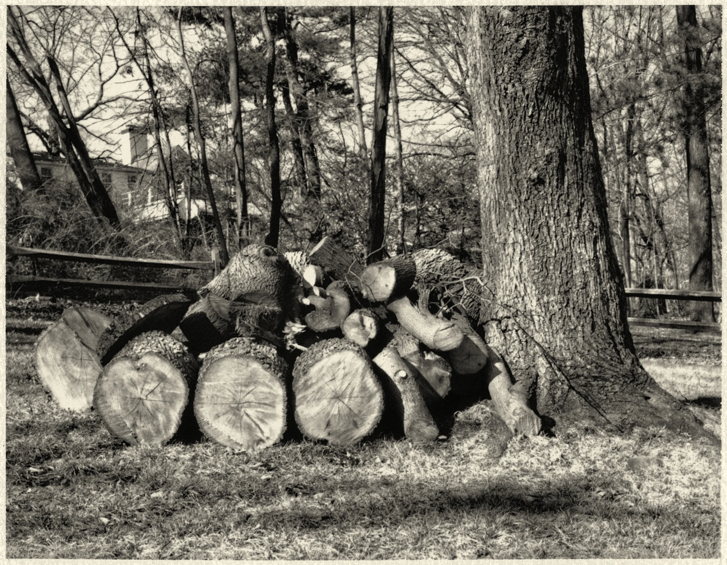 logs3.jpg
