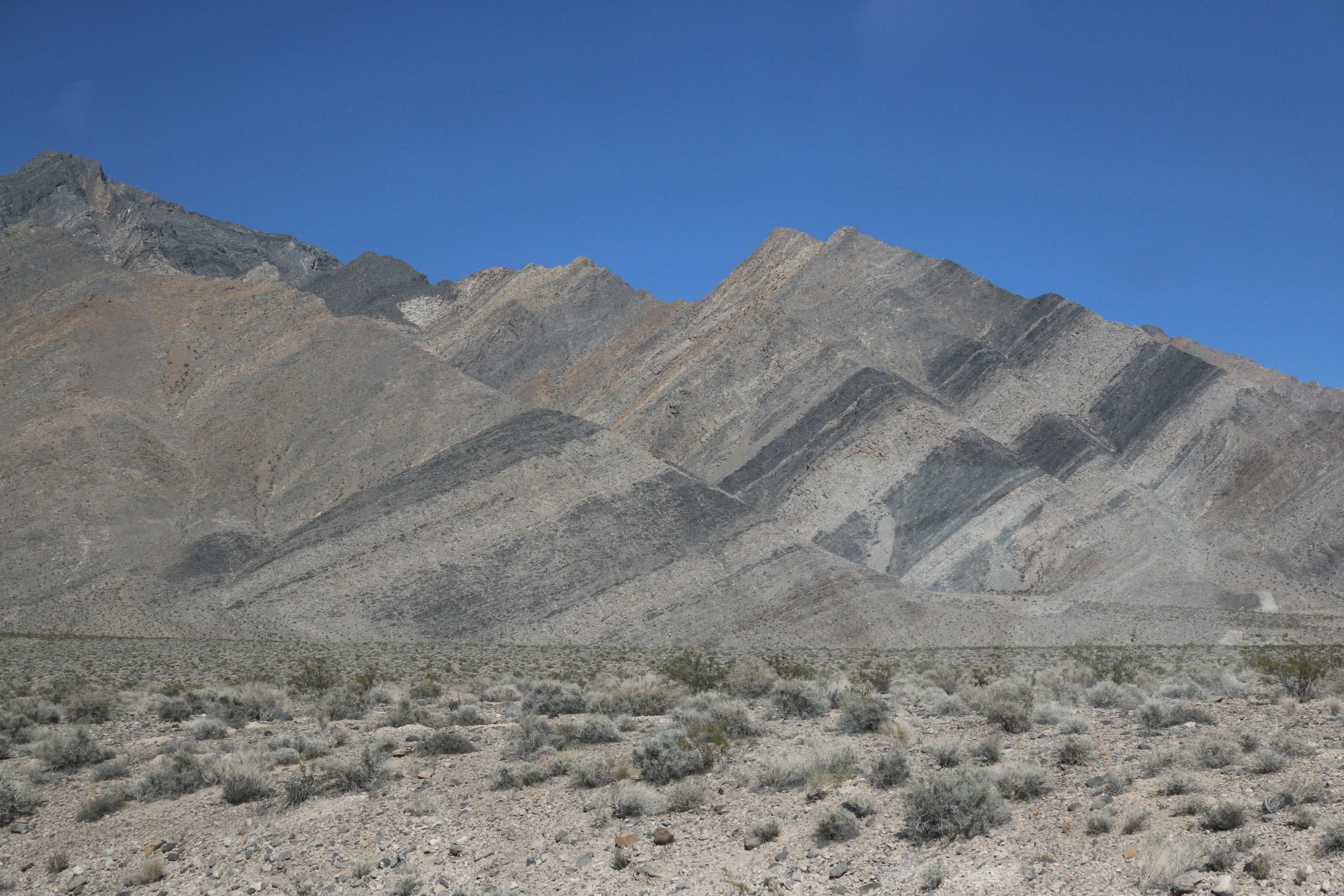 IMG_2397.JPG