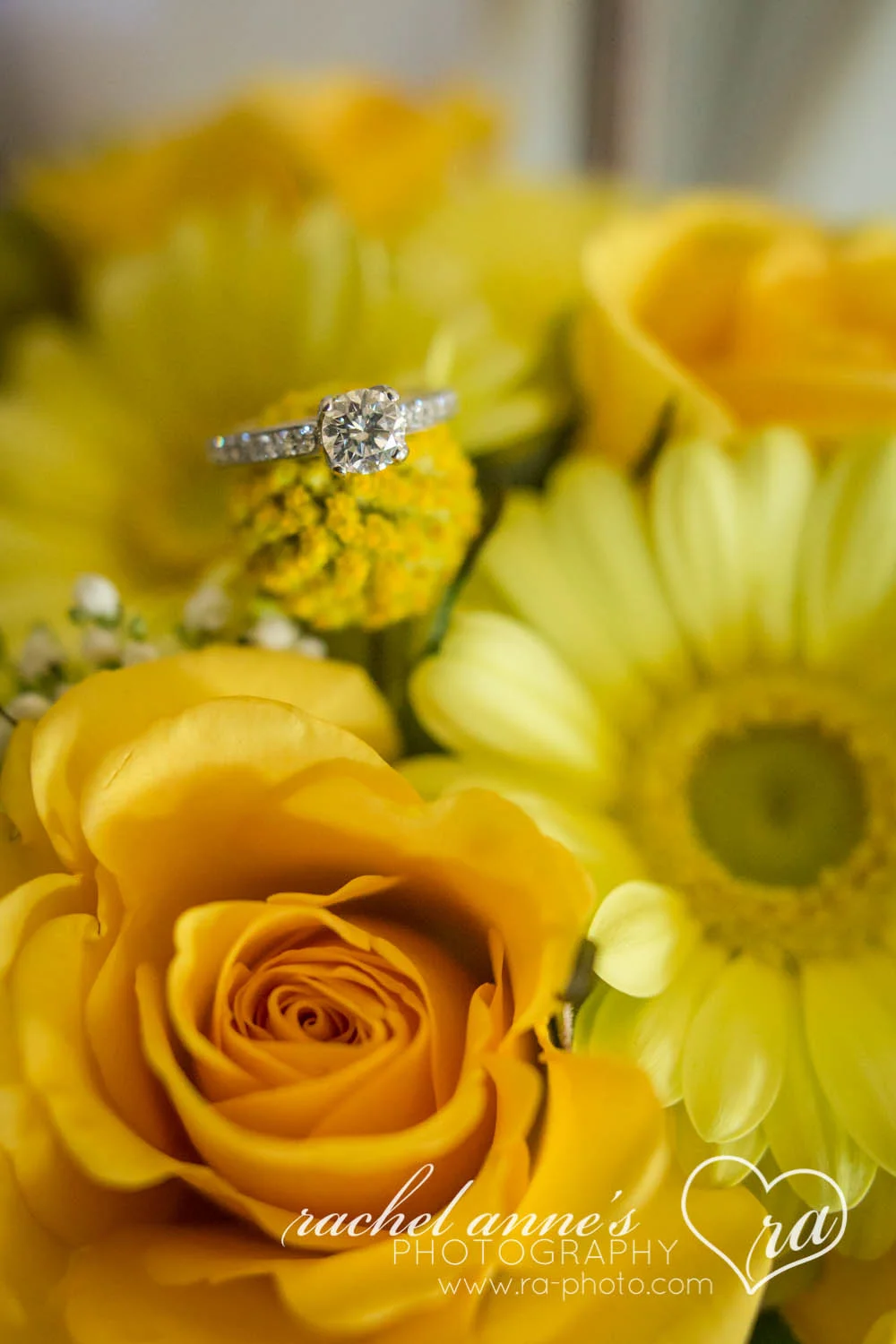 CEE-PURCHASE LINE PA WEDDING-3.jpg