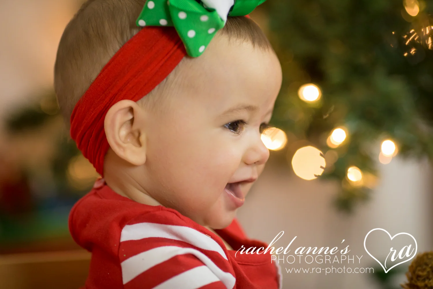 005-SRL-CHRISTMAS-FAMILY-PORTRAITS.jpg