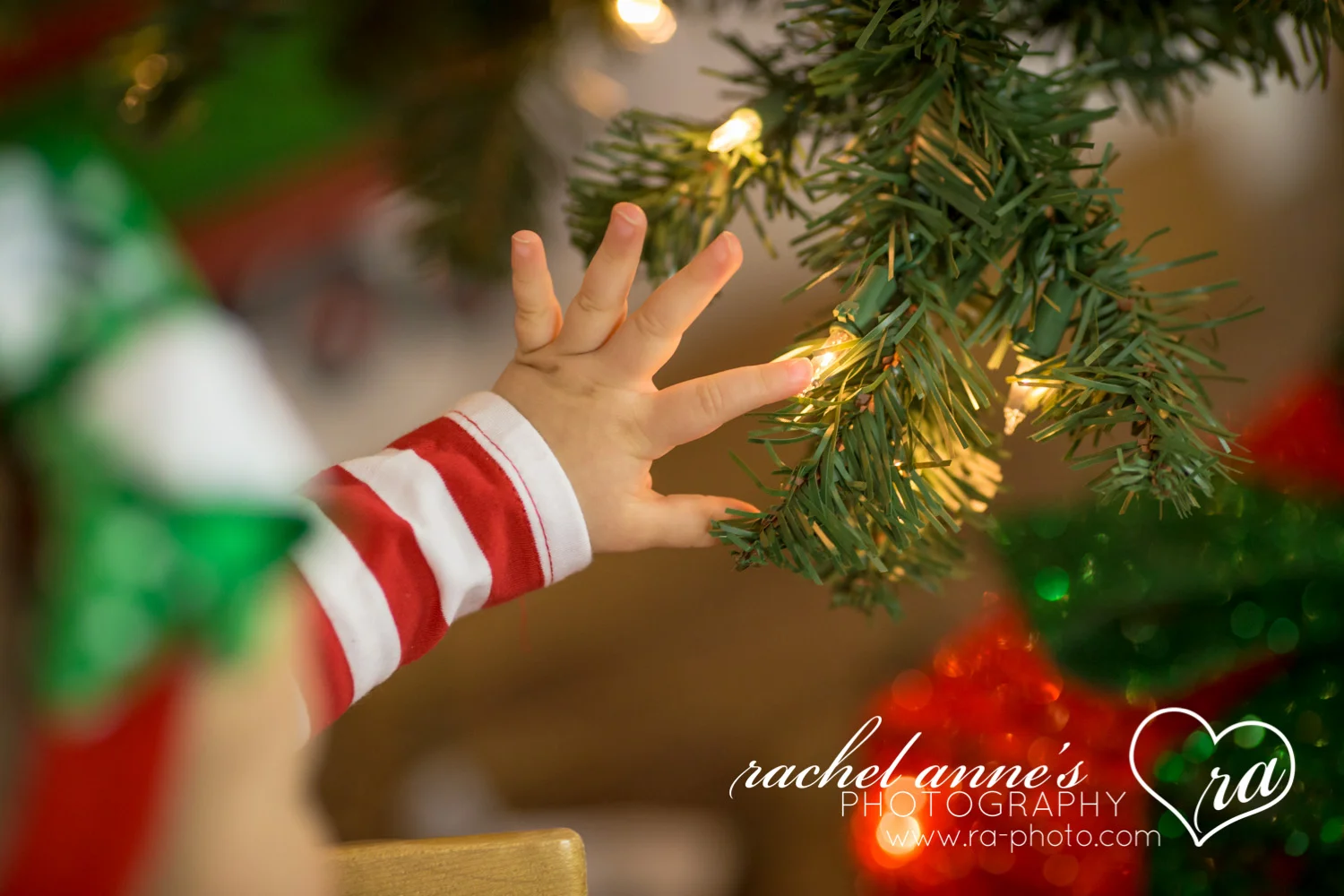 007-SRL-CHRISTMAS-FAMILY-PORTRAITS.jpg