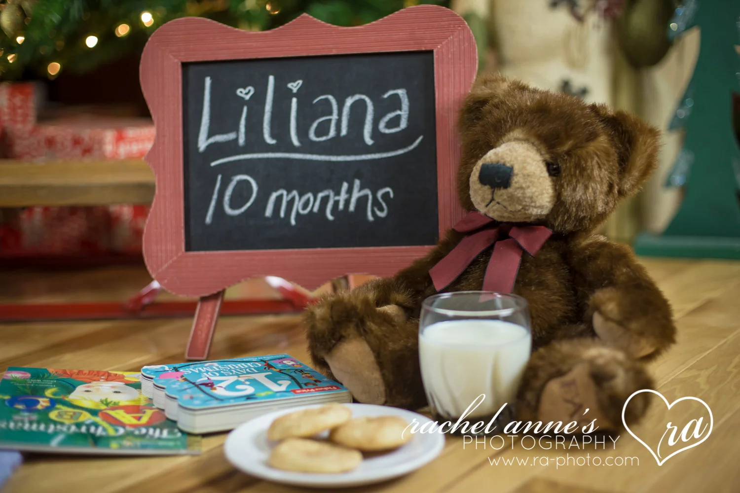 019-SRL-CHRISTMAS-FAMILY-PORTRAITS.jpg