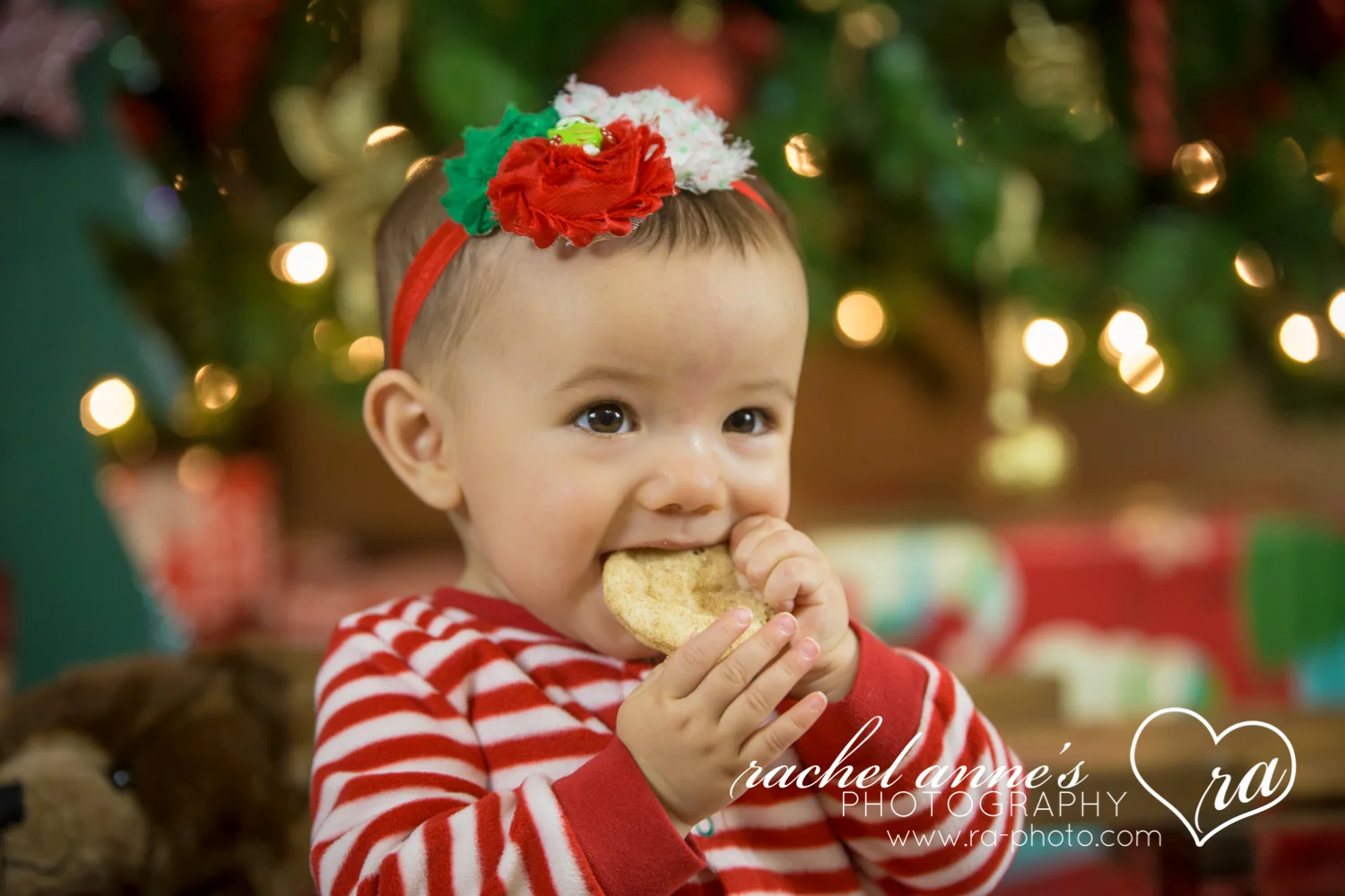029-SRL-CHRISTMAS-FAMILY-PORTRAITS.jpg