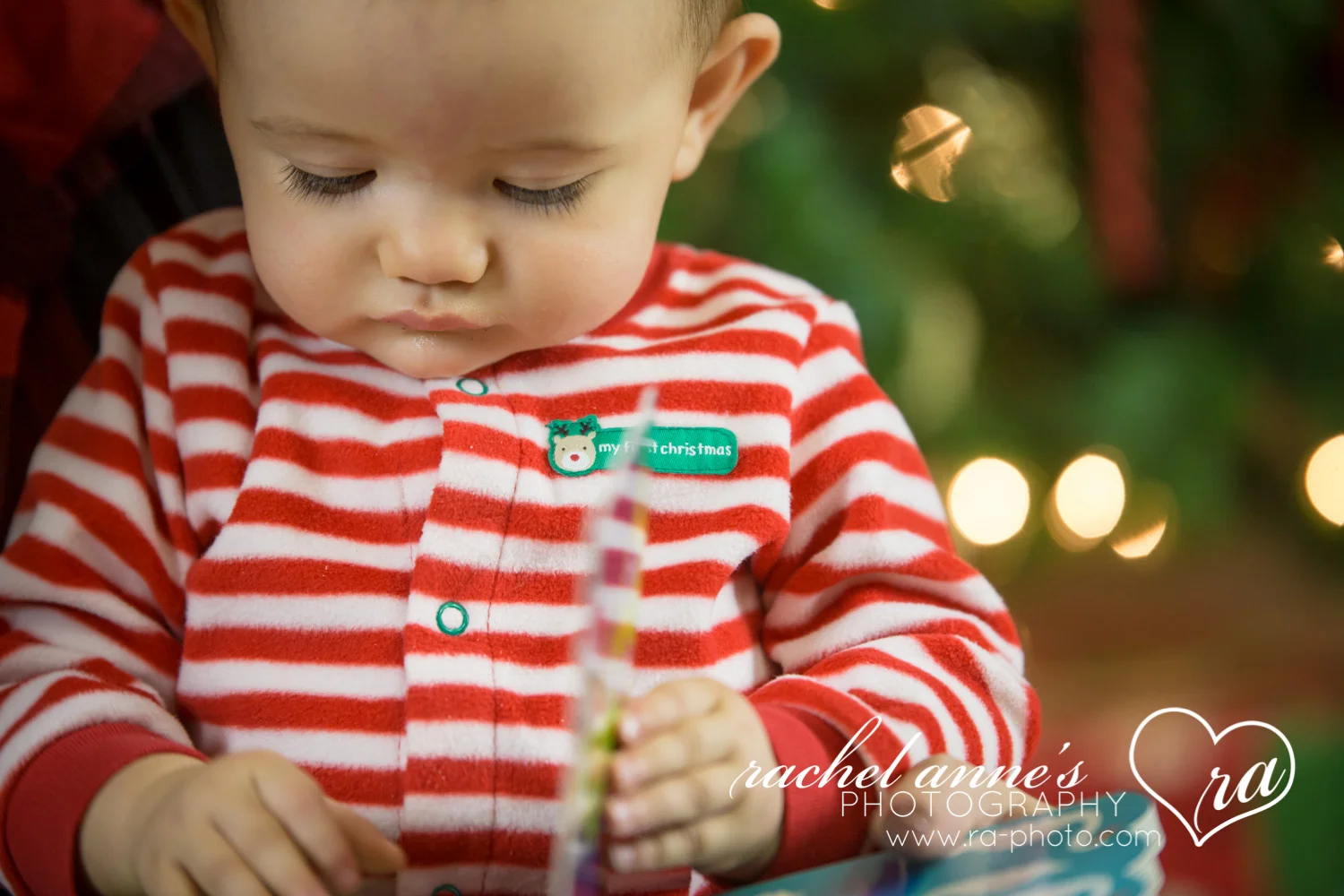 033-SRL-CHRISTMAS-FAMILY-PORTRAITS.jpg